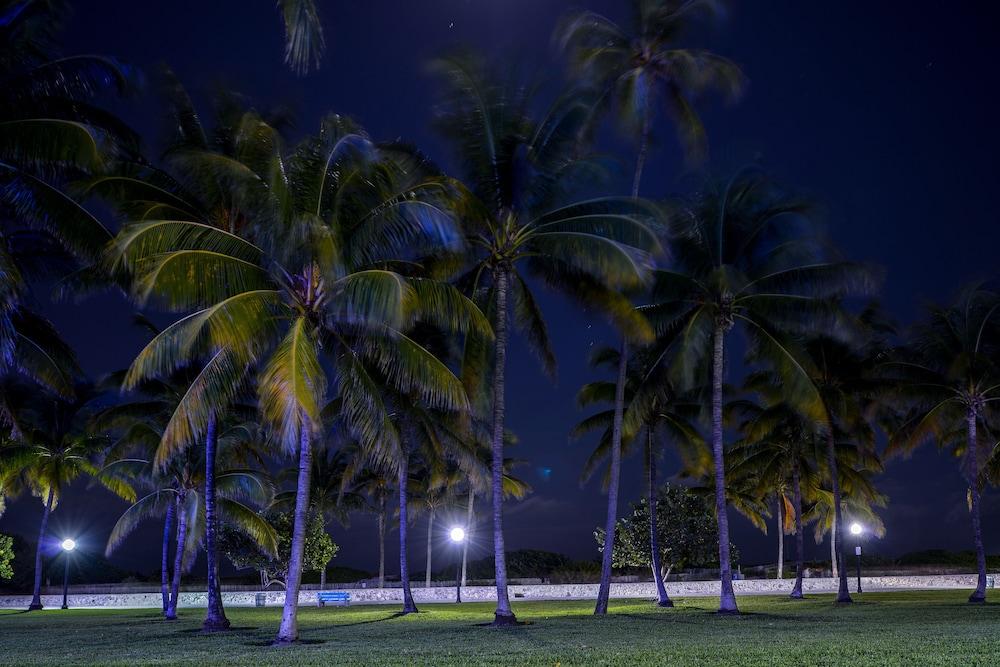 Hilton Vacation Club Crescent On South Beach Miami Miami Beach Exteriör bild